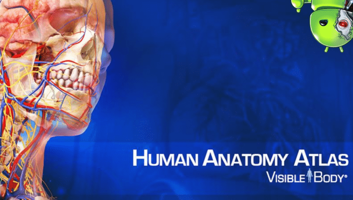 color atlas of human anatomy torrent