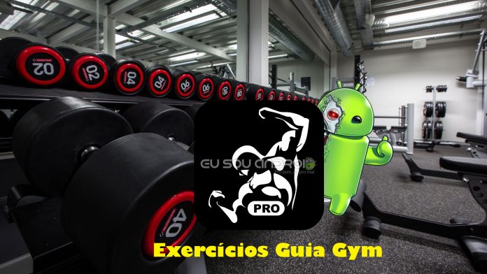 Exercicios guia Gym