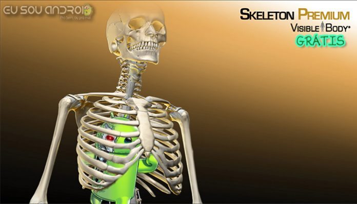 Skeleton Premium Capa v2.1.24