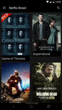 NetFlix Brasil APK