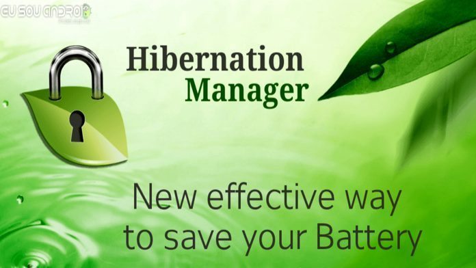 Hibernation Manager capa