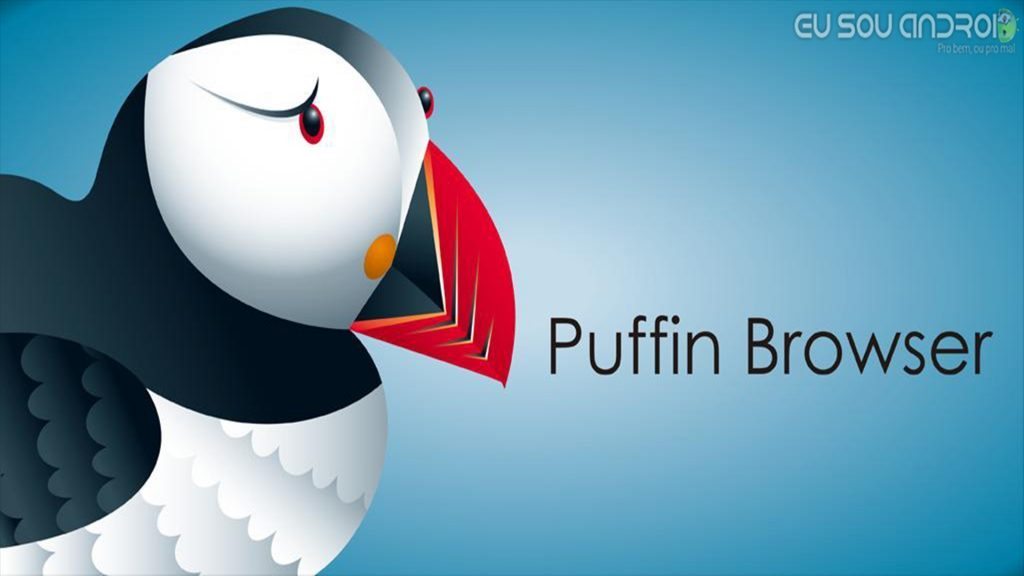 puffin pro apk