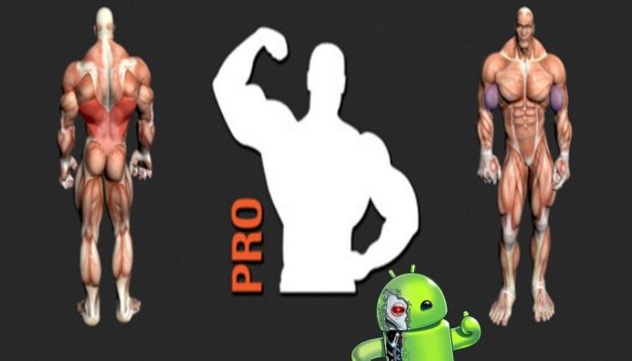 Fitness Point Pro apk