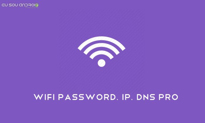 wifi-password-ip-dns-pro