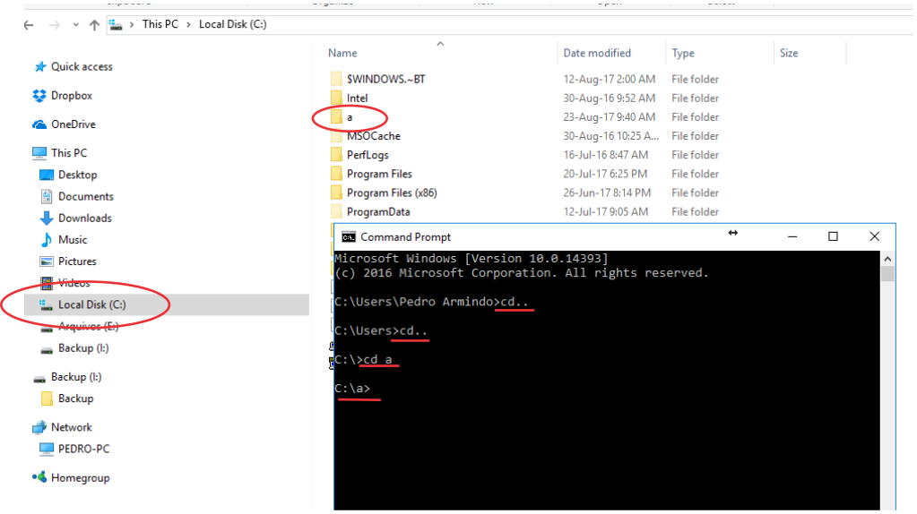 explorer mostrando cmd e navegando em pastas