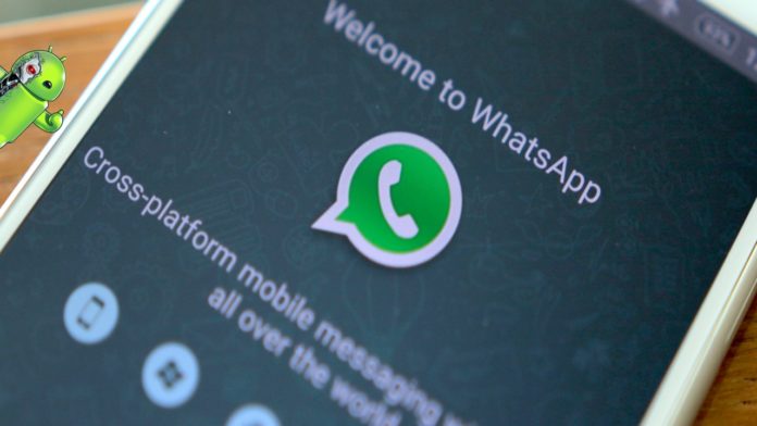 WhatsApp beta permite excluir as mensagens que você não queria enviar