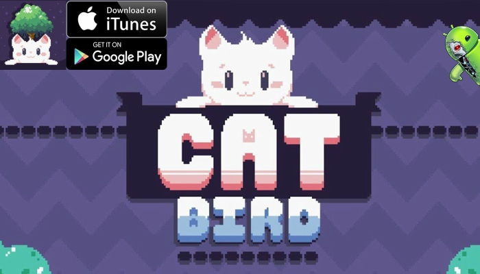 Cat Bird