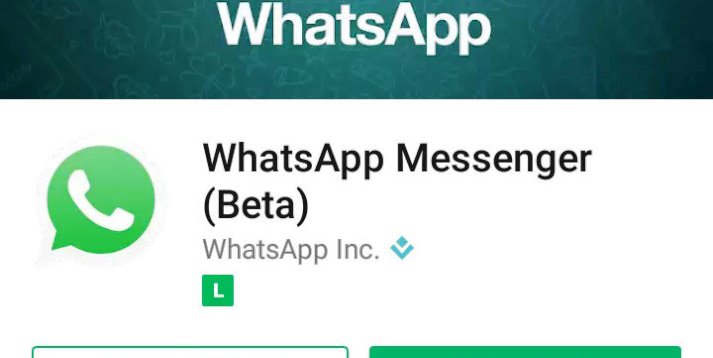 WhatsApp lança recurso de descrição de grupo
