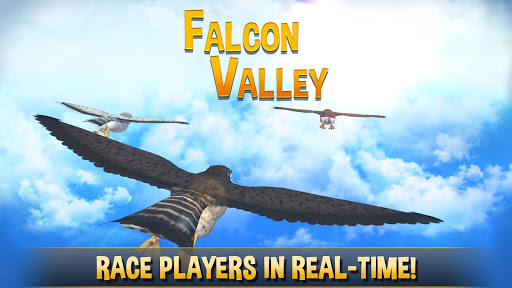 Falcon Valley 