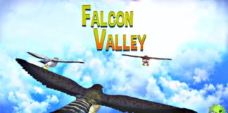 Falcon Valley – Assuma o Controle de um Falcão Falcon Valley