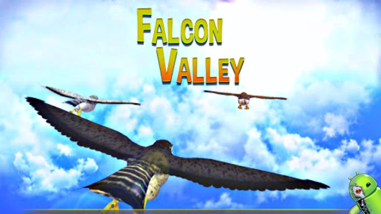 Falcon Valley