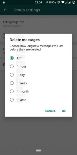 Novo recurso de Apagamento Automático Mensagens em grupos deve chegar em breve no WhatsApp