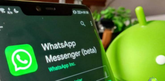 WhatsApp Ganhará Apagamento Automático Mensagens em grupos WhatsApp Ganhará Apagamento Automático Mensagens em grupos