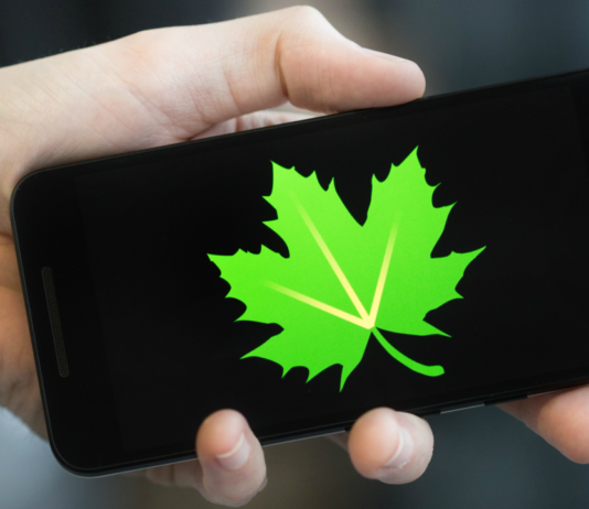 Como Hibernar aplicativos com o Greenify 2020 Como Hibernar aplicativos com o Greenify 2020