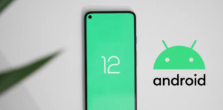 Lançou! Google lança beta 2 do Android 12 Lançou! Google lança beta 2 do Android 12