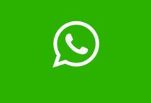 WhatsApp beta ganha novos emojis WhatsApp beta ganha novos emojis
