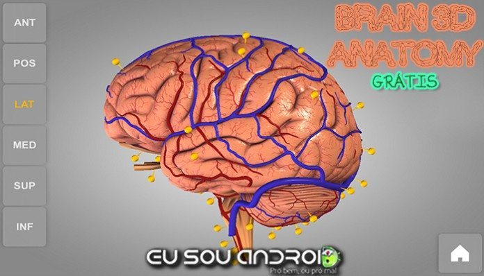 B3DA Capa