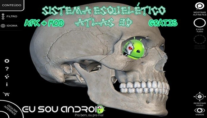 SSA3D Capa 2.1.1