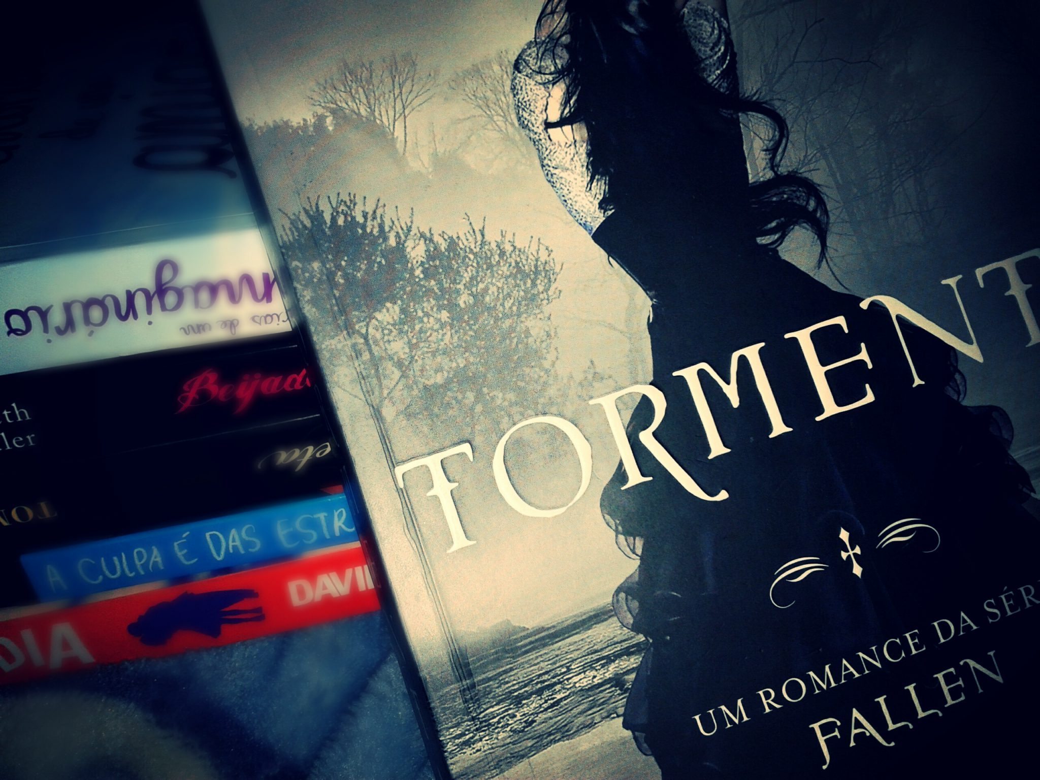 livro-tormenta-fallen