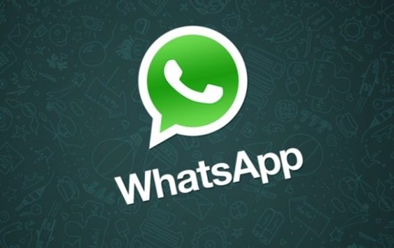 whatsapp-topo